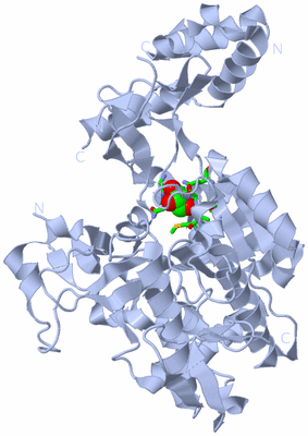 Image Biol. Unit 1 - sites