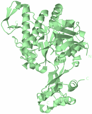 Image Biological Unit 2