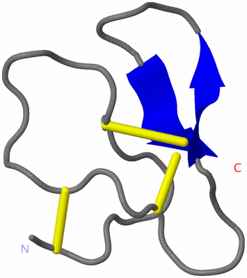 Image NMR Structure - model 1