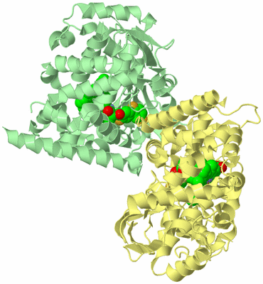 Image Biological Unit 1