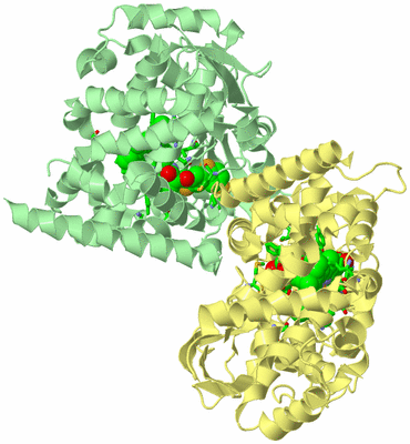 Image Biol. Unit 1 - sites