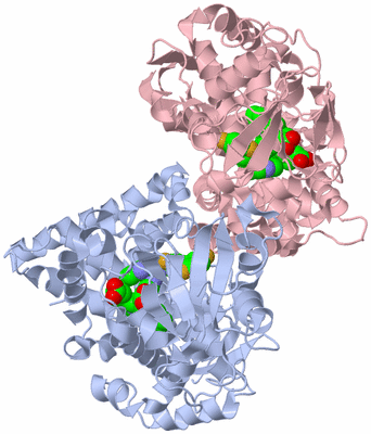 Image Biological Unit 2