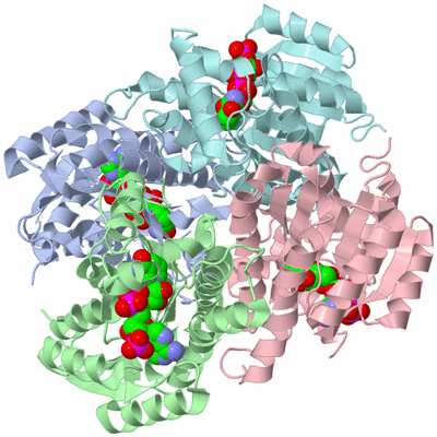 Image Biological Unit 1