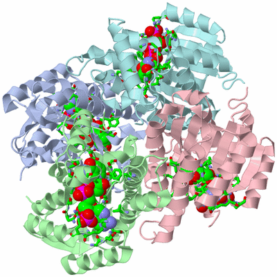 Image Biol. Unit 1 - sites