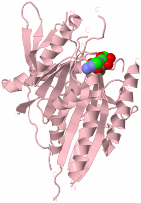 Image Biological Unit 3