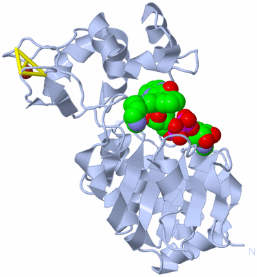 Image Biological Unit 1