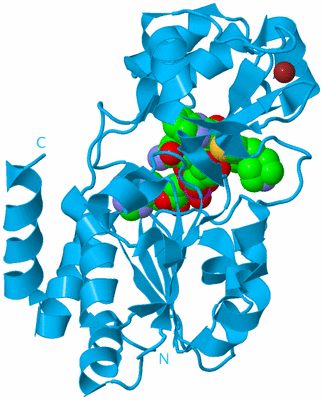 Image Biological Unit 10