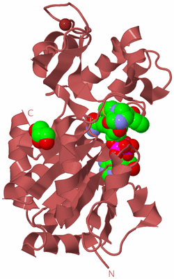 Image Biological Unit 11