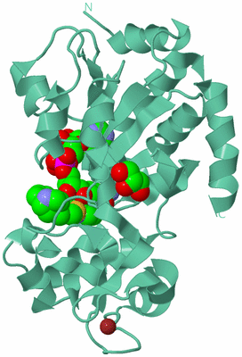 Image Biological Unit 12