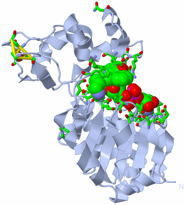 Image Biol. Unit 1 - sites