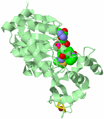 Image Biological Unit 2