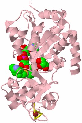 Image Biological Unit 3