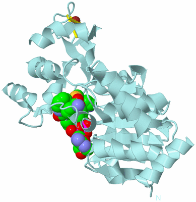 Image Biological Unit 6