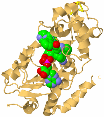 Image Biological Unit 7