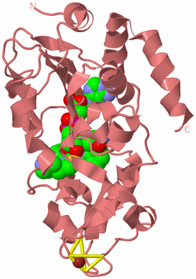 Image Biological Unit 8