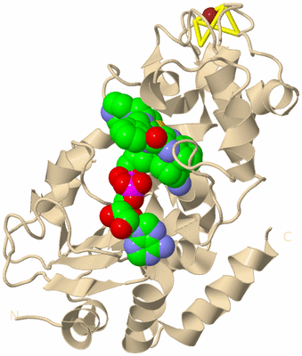 Image Biological Unit 9