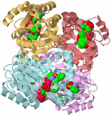 Image Biological Unit 1