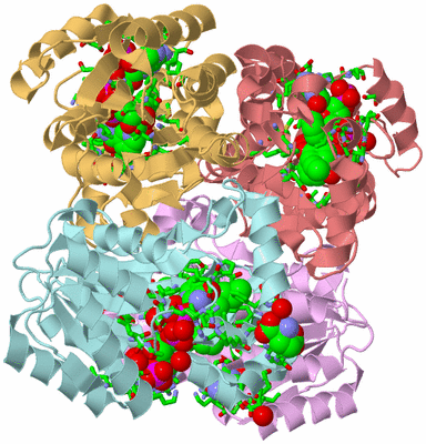 Image Biol. Unit 1 - sites