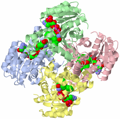 Image Biological Unit 2