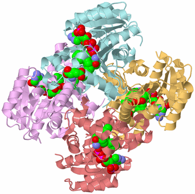 Image Biological Unit 2