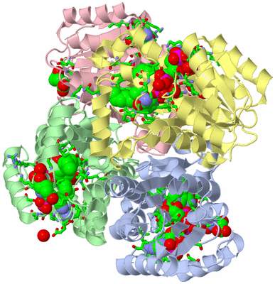 Image Biol. Unit 1 - sites