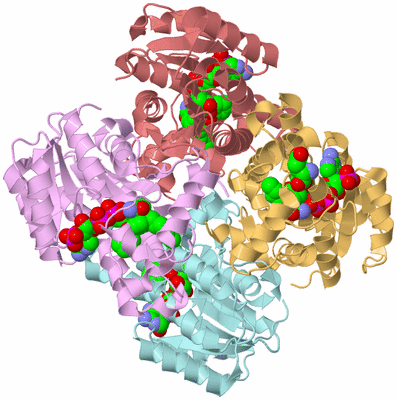 Image Biological Unit 2