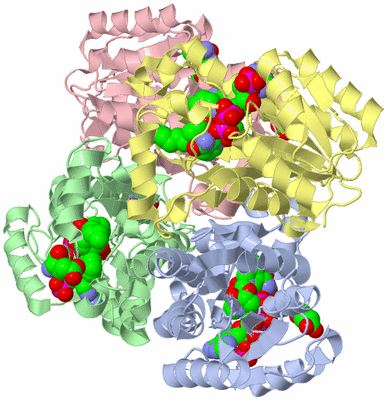 Image Biological Unit 1