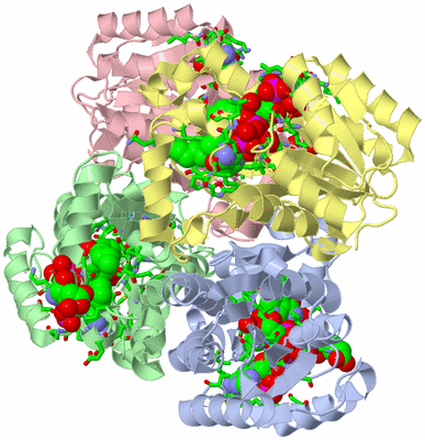 Image Biol. Unit 1 - sites