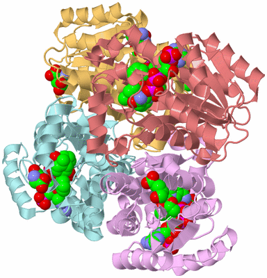 Image Biological Unit 1