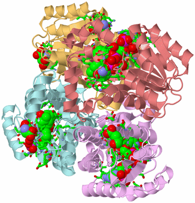 Image Biol. Unit 1 - sites