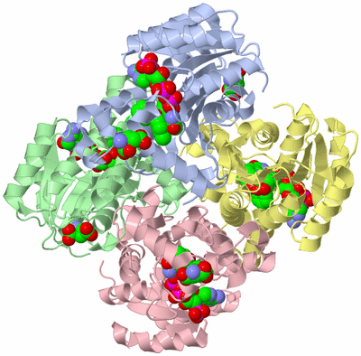 Image Biological Unit 2