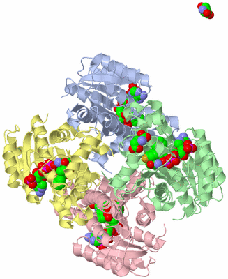 Image Biological Unit 1