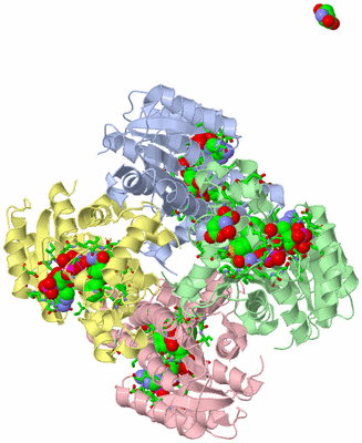 Image Biol. Unit 1 - sites