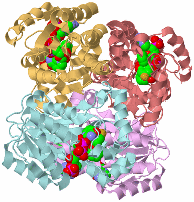 Image Biological Unit 2