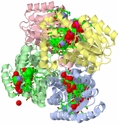 Image Biol. Unit 1 - sites