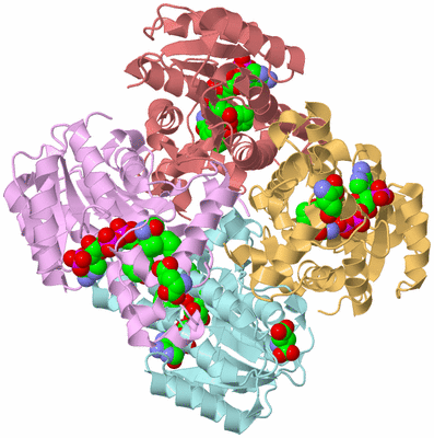 Image Biological Unit 2