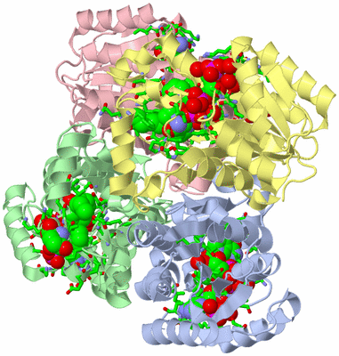 Image Biol. Unit 1 - sites