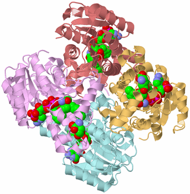 Image Biological Unit 2