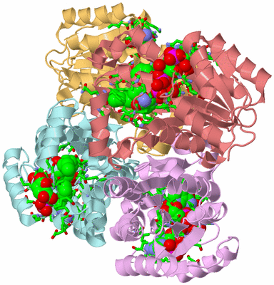 Image Biol. Unit 1 - sites