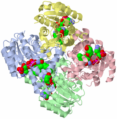 Image Biological Unit 2