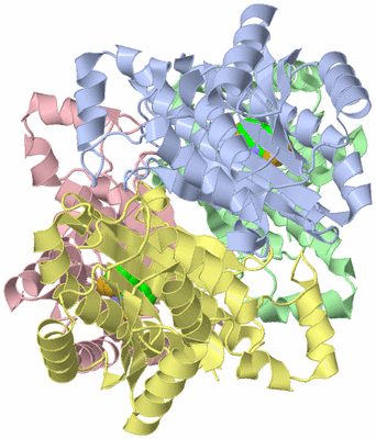 Image Asym./Biol. Unit