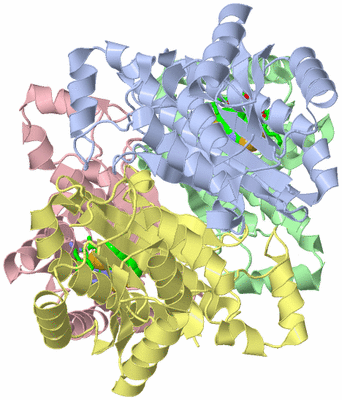 Image Asym./Biol. Unit - sites