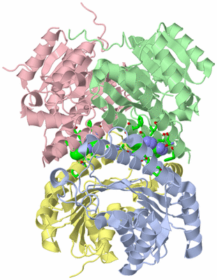 Image Asym./Biol. Unit - sites