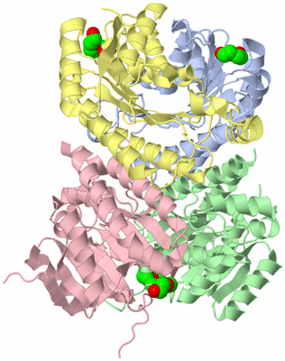 Image Asym./Biol. Unit