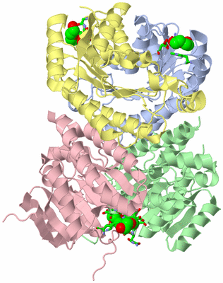 Image Asym./Biol. Unit - sites