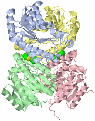 Image Asym./Biol. Unit