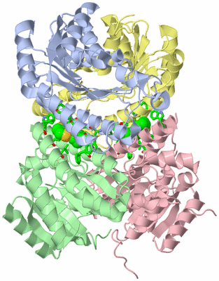 Image Asym./Biol. Unit - sites