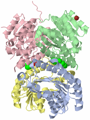 Image Asym./Biol. Unit