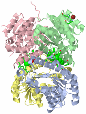 Image Asym./Biol. Unit - sites