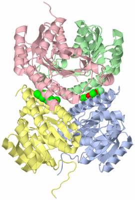 Image Asym./Biol. Unit